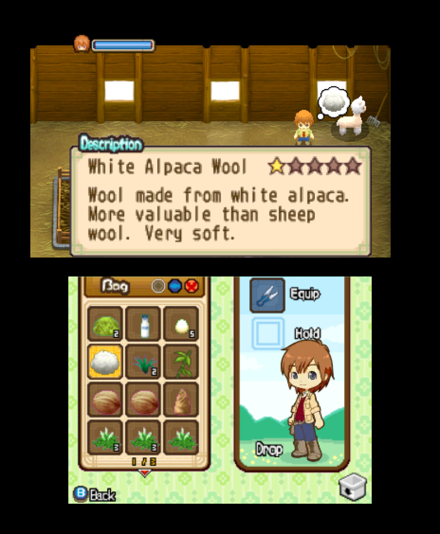 Harvest Moon 3D: The Tale of Two Towns Screenshot