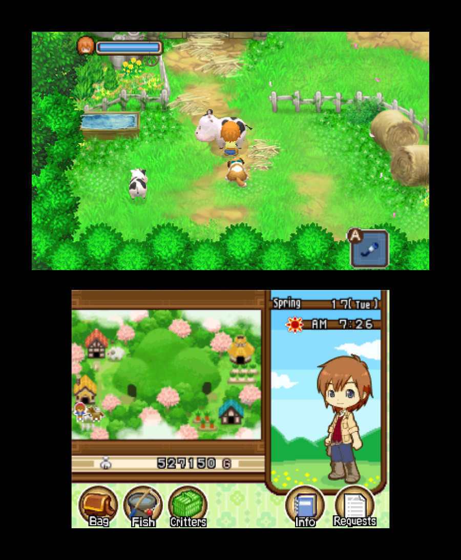 Harvest Moon 3D: The Tale of Two Towns Screenshot