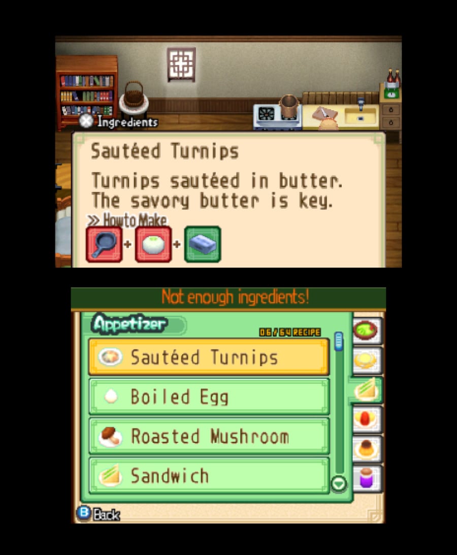 Harvest Moon 3D: The Tale of Two Towns Screenshot