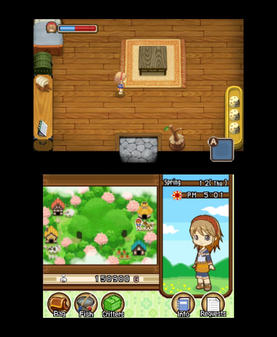 Harvest Moon 3D: The Tale of Two Towns Screenshot