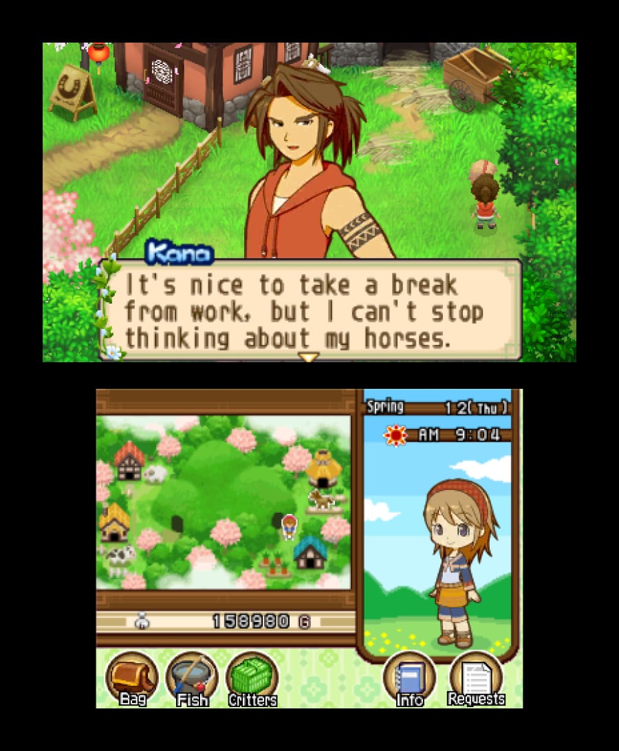 Harvest Moon 3D: The Tale of Two Towns Screenshot