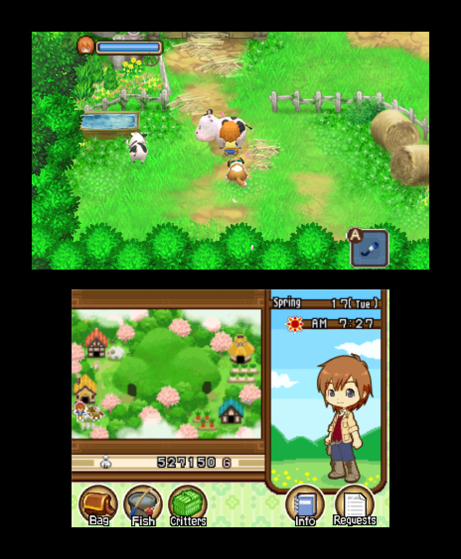 Harvest Moon 3D: The Tale of Two Towns Screenshot