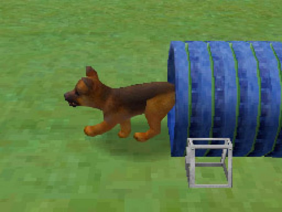 Nintendogs Screenshot