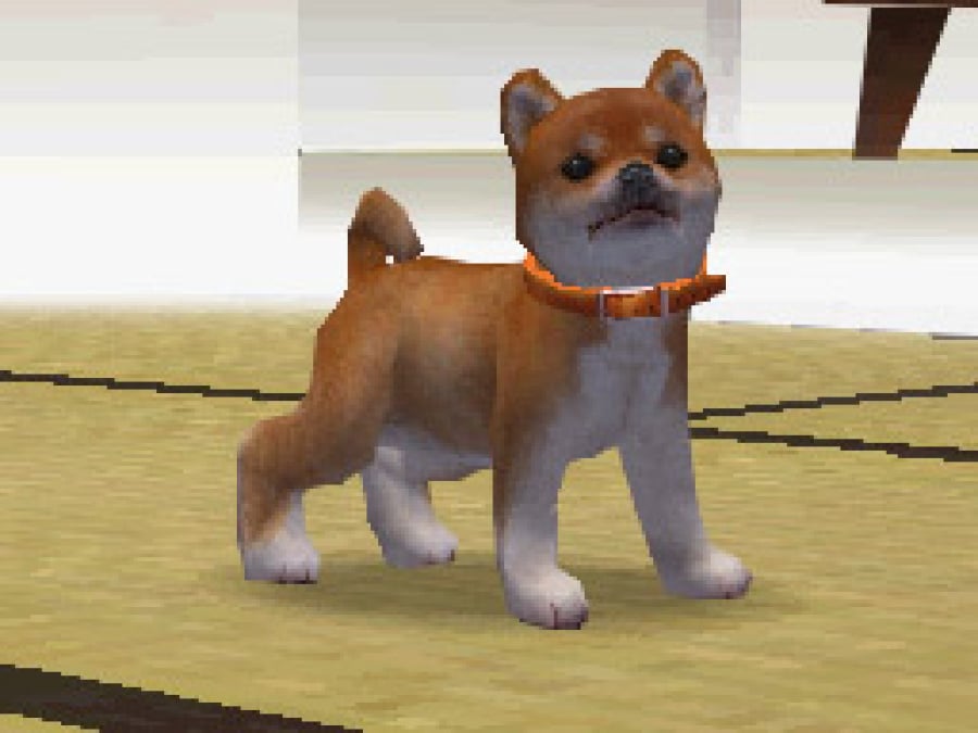 Nintendogs Screenshot