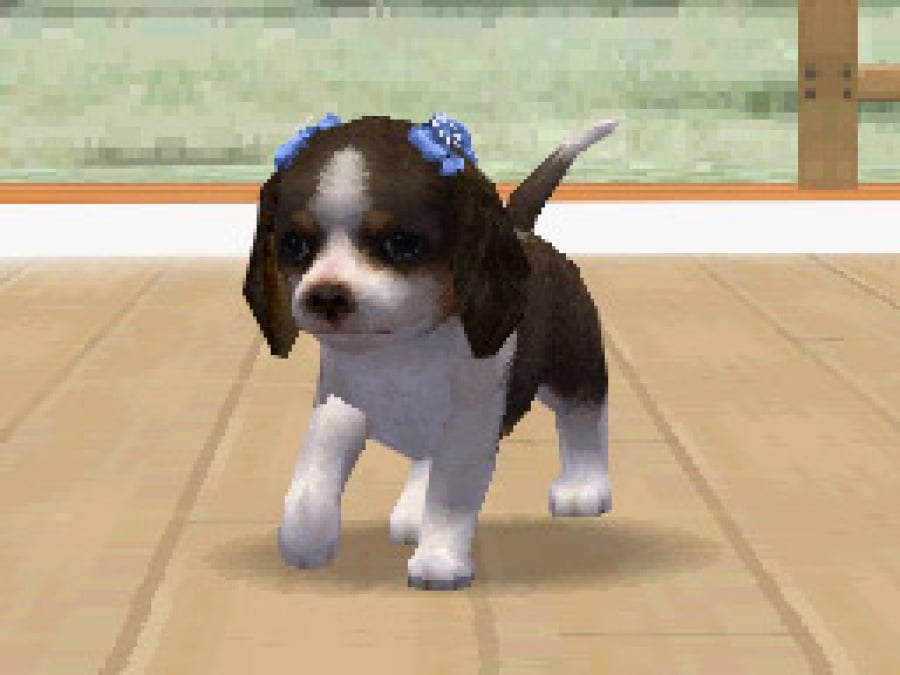 Nintendogs Screenshot