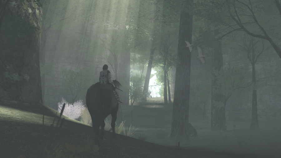 ICO & Shadow Of The Colossus Collection Screenshot