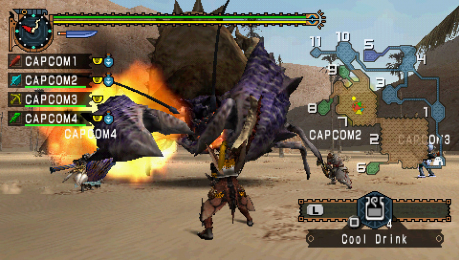 Monster Hunter Freedom Unite Screenshot