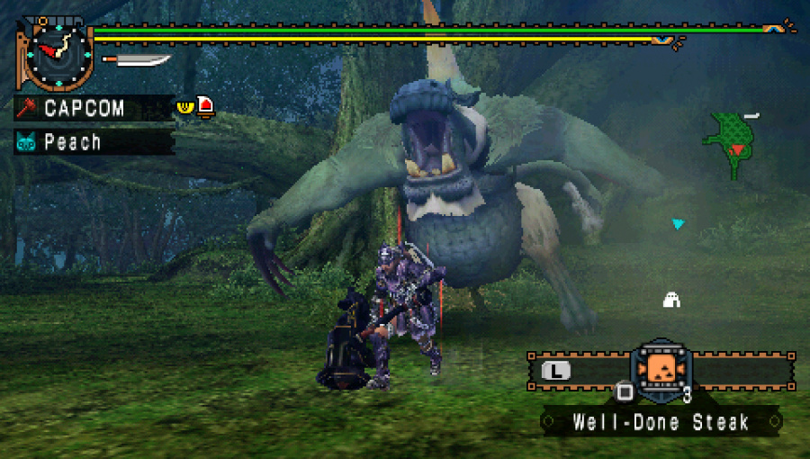 Monster Hunter Freedom Unite Screenshot