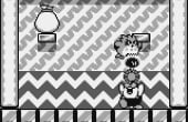 Kirby's Dream Land 2 - Screenshot 4 of 8