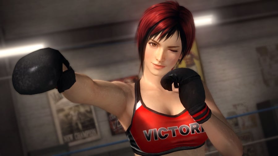 Dead or Alive 5 Screenshot