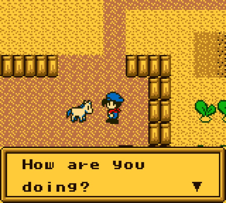 Harvest Moon Screenshot