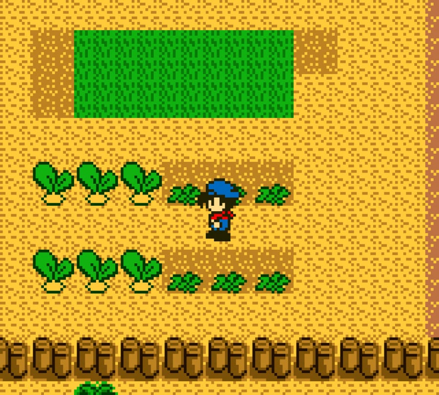 Harvest Moon Screenshot