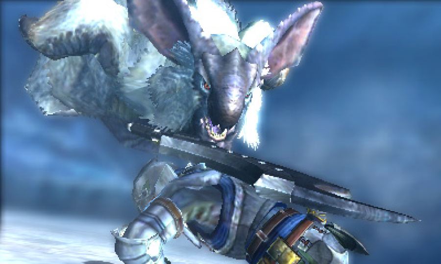 Monster Hunter 4 Screenshot