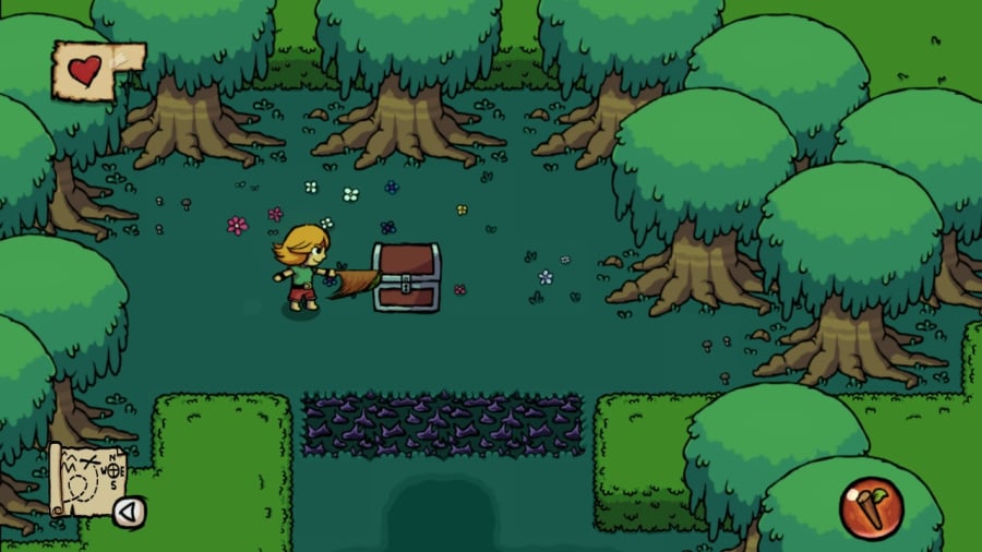 Ittle Dew Screenshot