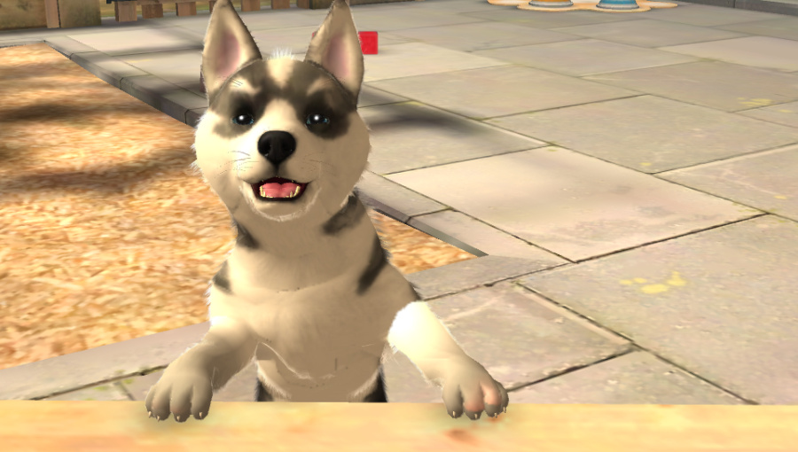 PlayStation Vita Pets Screenshot