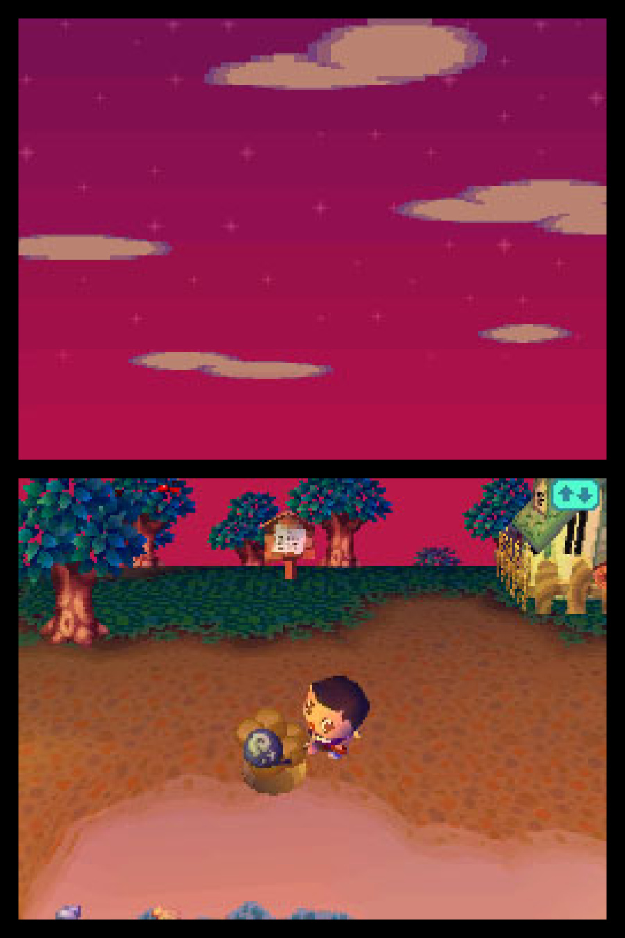 Animal Crossing: Wild World Screenshot