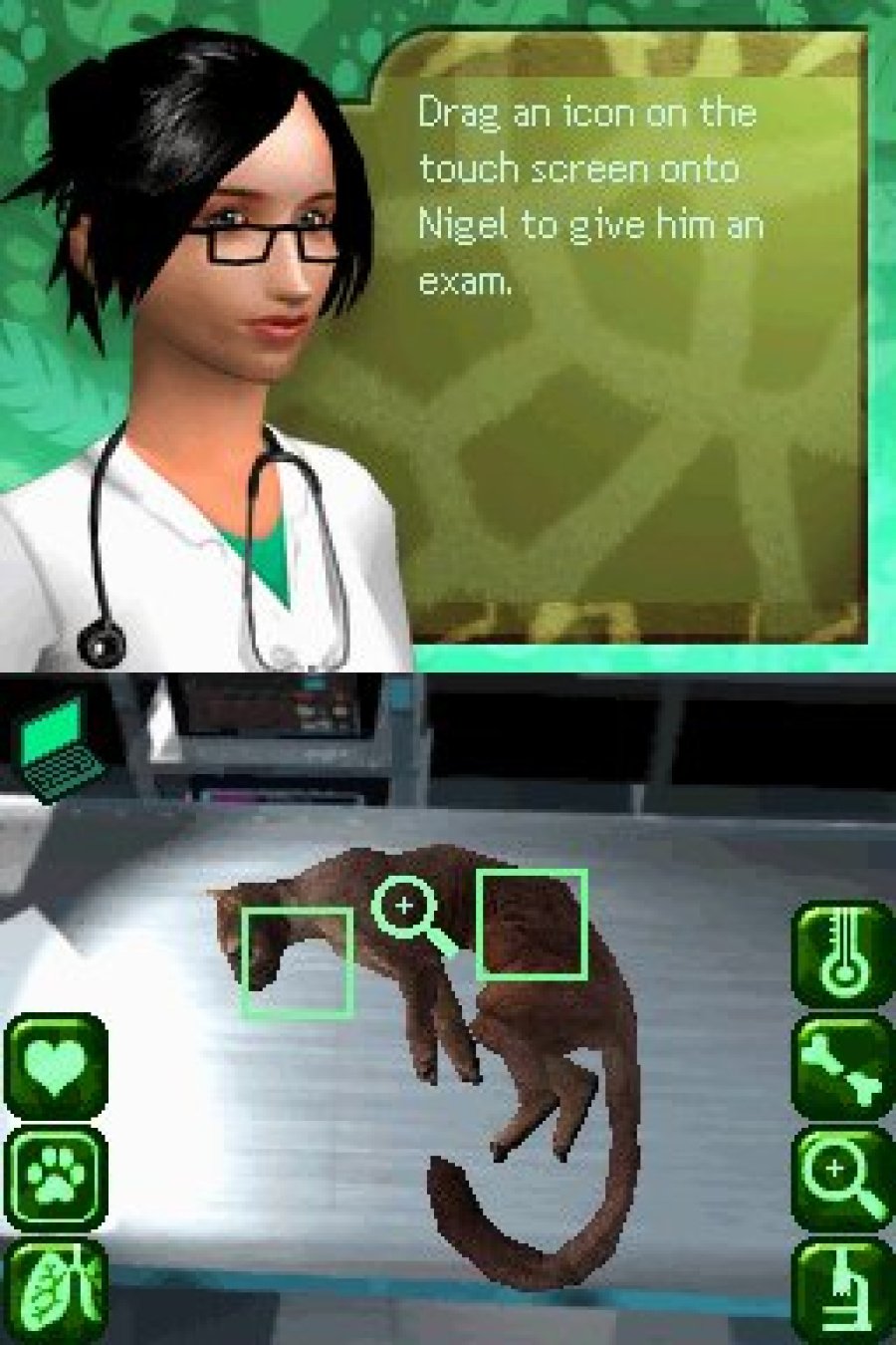 Zoo Hospital Screenshot