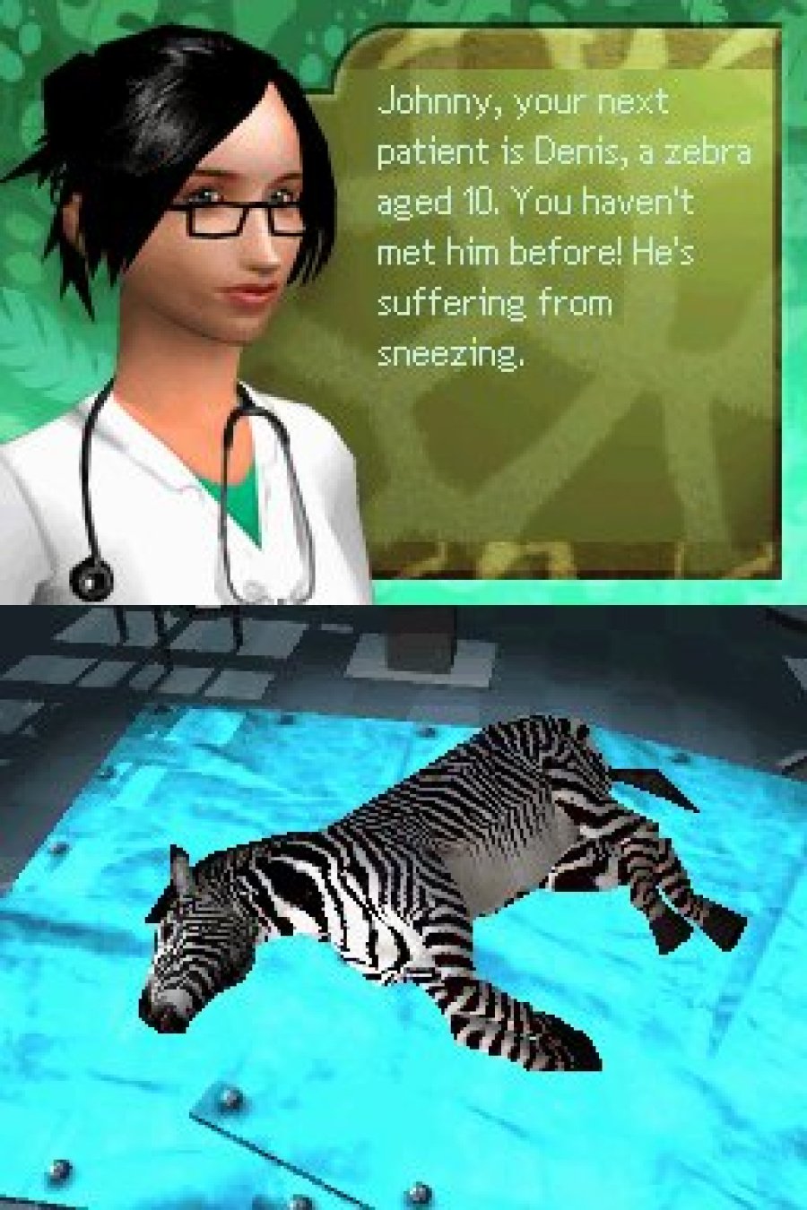 Zoo Hospital Screenshot