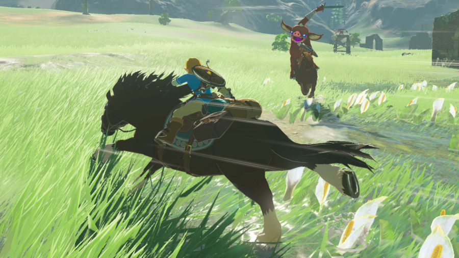 The Legend of Zelda: Breath of the Wild Screenshot