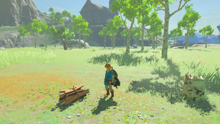 The Legend of Zelda: Breath of the Wild Screenshot