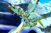 Monster Hunter Stories - Screenshot 8 of 10