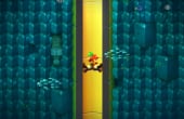 Mario & Luigi: Superstar Saga + Bowser's Minions - Screenshot 8 of 10