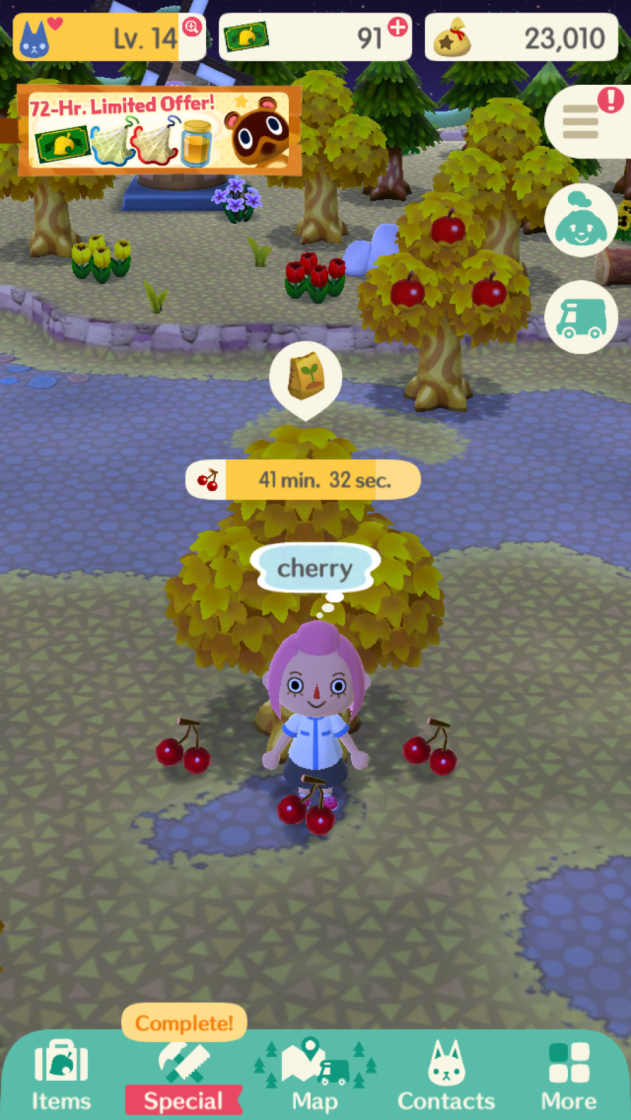 Animal Crossing: Pocket Camp Screenshot