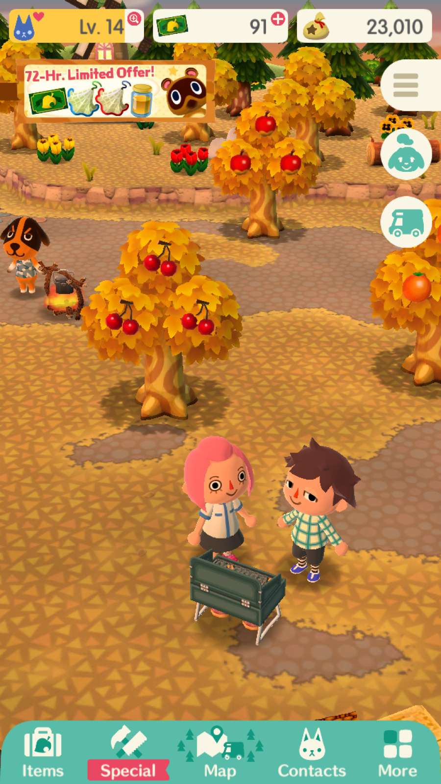 Animal Crossing: Pocket Camp Screenshot