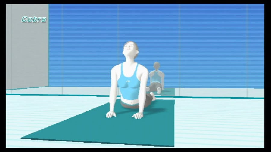 Wii Fit Screenshot