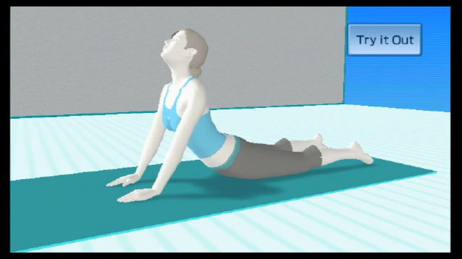 Wii Fit Screenshot