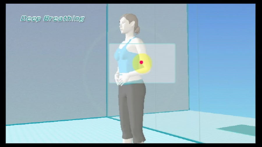 Wii Fit Screenshot