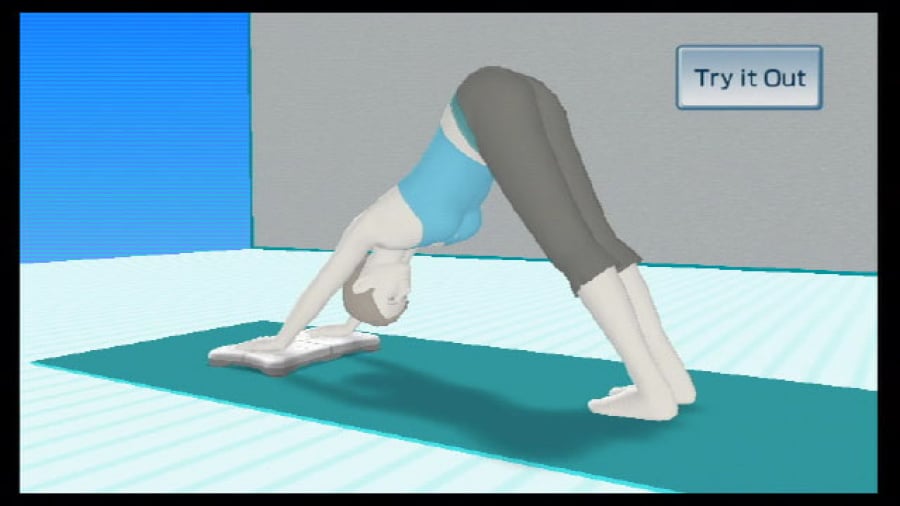 Wii Fit Screenshot