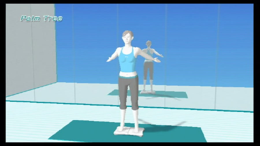 Wii Fit Screenshot