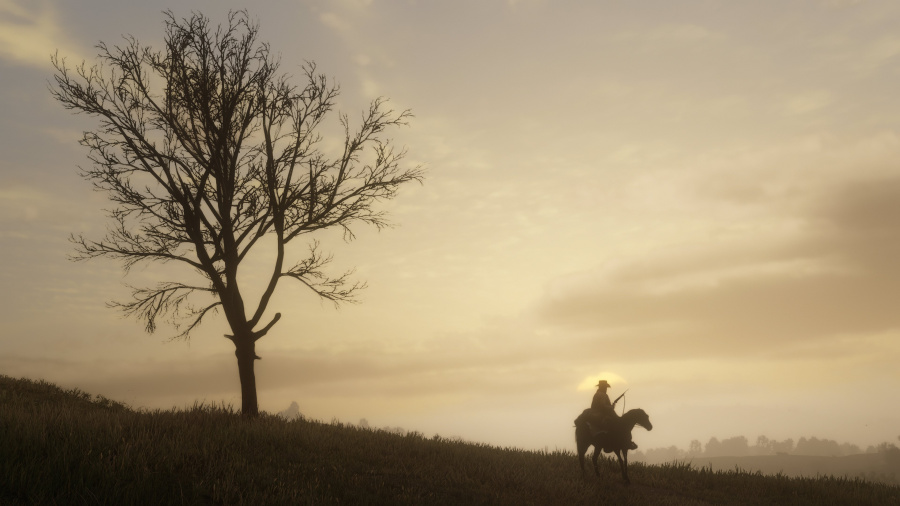 Red Dead Redemption 2 Screenshot