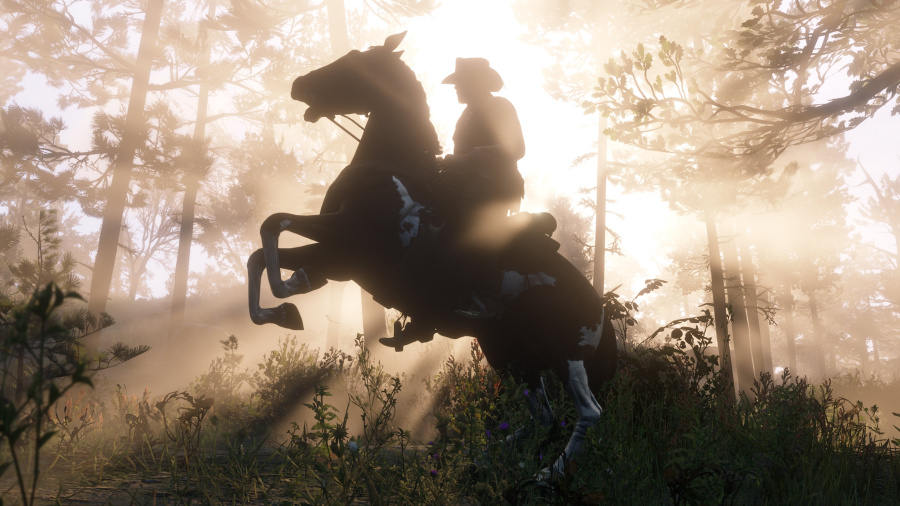 Red Dead Redemption 2 Screenshot