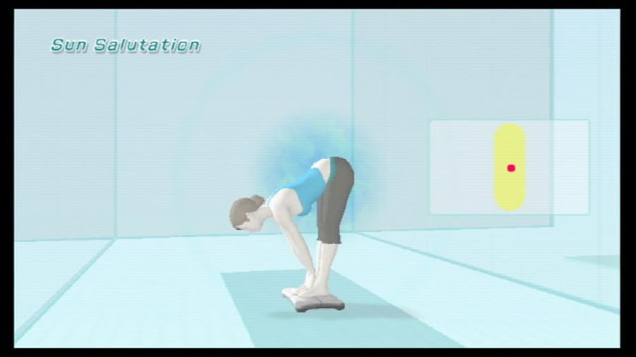 Wii Fit Screenshot