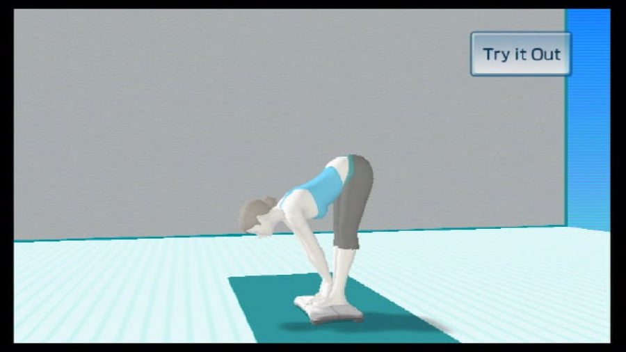 Wii Fit Screenshot