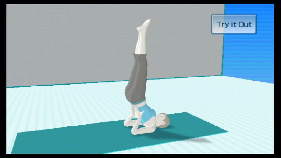 Wii Fit Screenshot