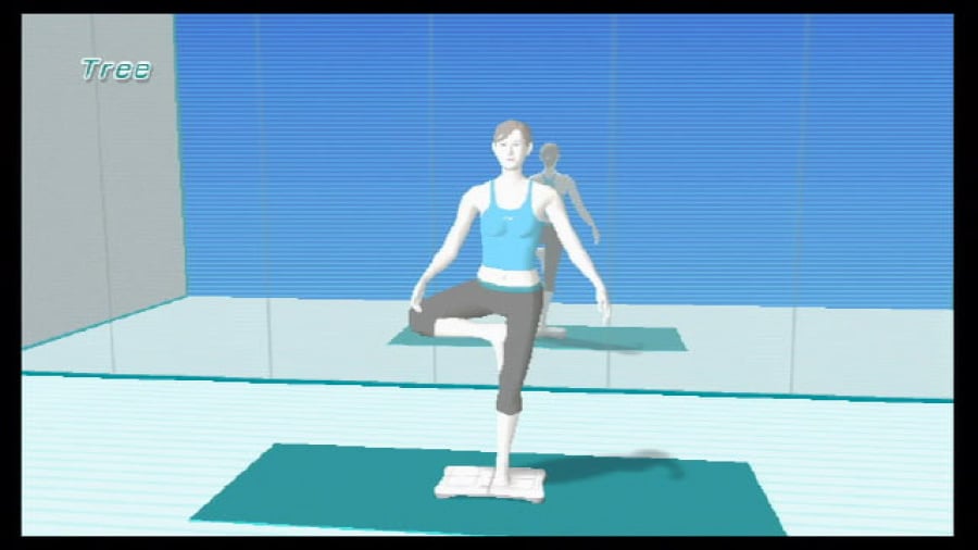 Wii Fit Screenshot