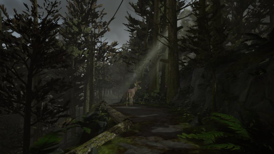 What Remains of Edith Finch Screenshot