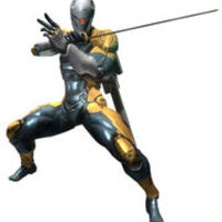 GrayFox666