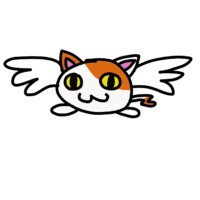 ifcatshadwings