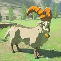 Goat_FromBOTW