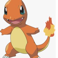 Charmander91