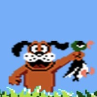 DuckHunter