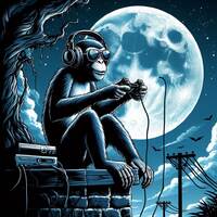 Midnyte-Monkey