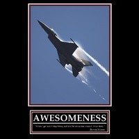 Moose_4