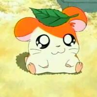 Hamtaro