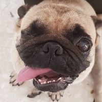 PACO_PEREZ